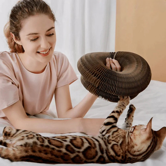 PurrPlay™ - La plej bona katludilo por hejmo sen gratvundoj (50% RABATO)