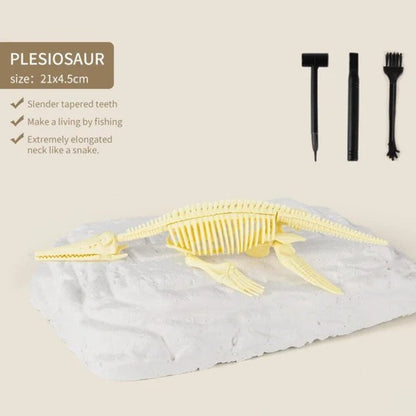 50% RABATO | Elfosa Kompleto por Dinosaŭraj Fosilioj 